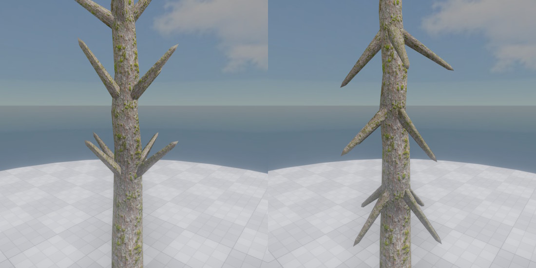 Branch Angle
